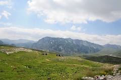 Parco Nazionale del Durmitor385DSC_3181